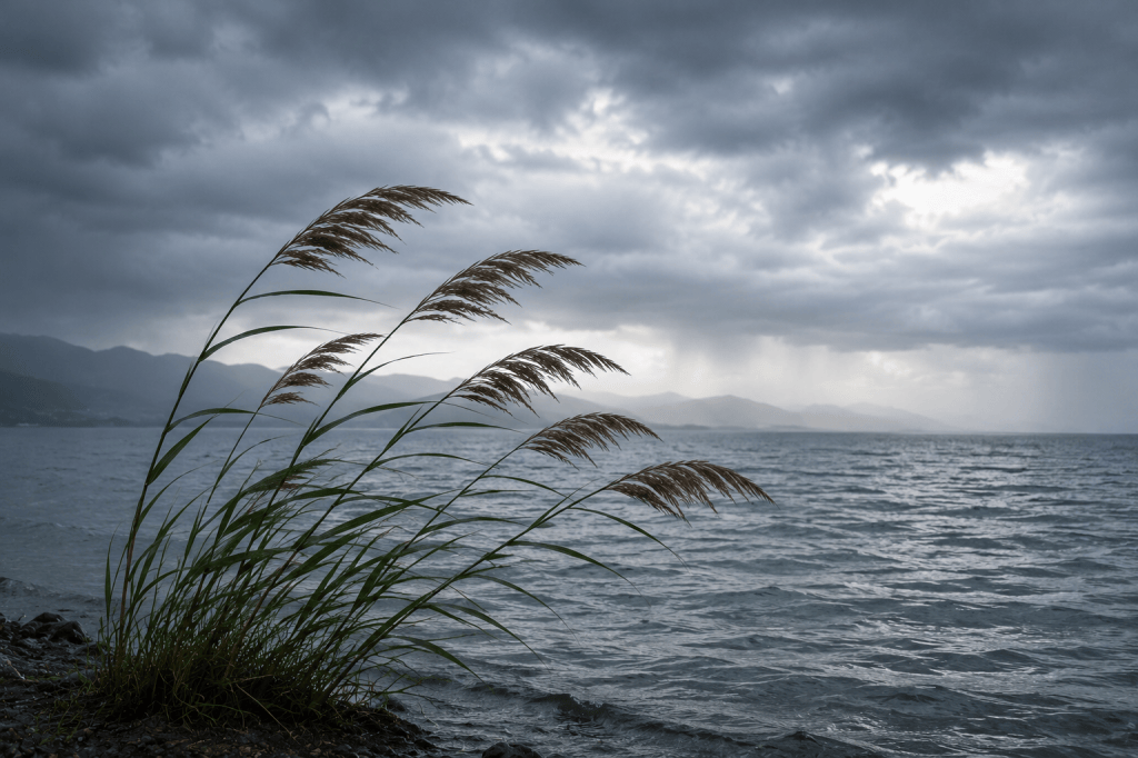 Des roseaux se courbent sous le vent au bord de l’eau, face aux vagues et à un ciel orageux.
